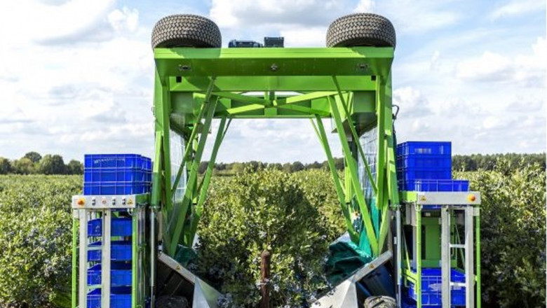 Berry Harvester Market Trends and Research, Forecast and Growth 2032