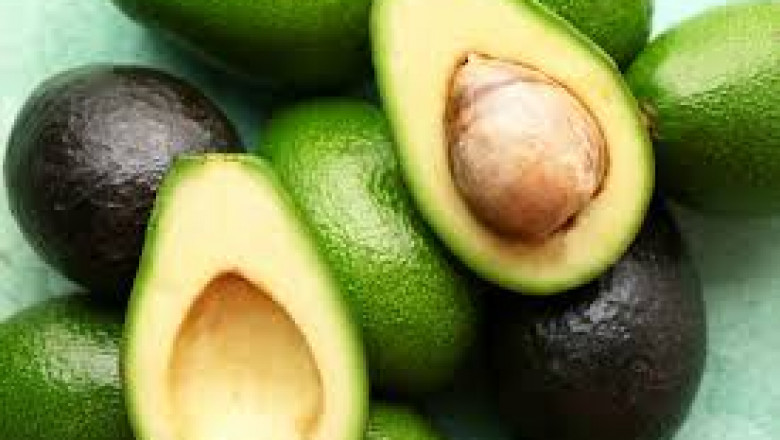 Global Hass Avocado Market Growth, Demand, and Forecast Analysis Report 2023 to 2033