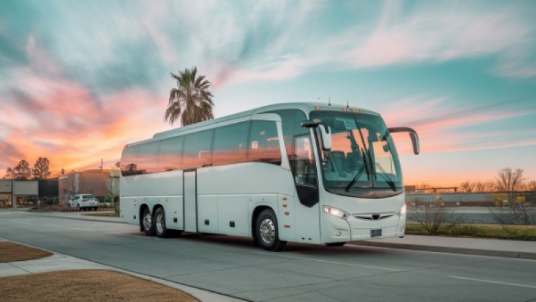 Short Trips, Big Comfort: Affordable Minibus Rental for Small Groups