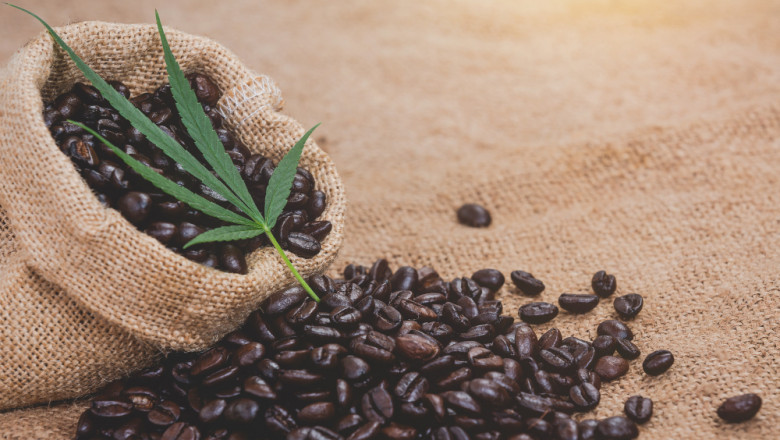 What Makes Organic Coffee Worth the Switch