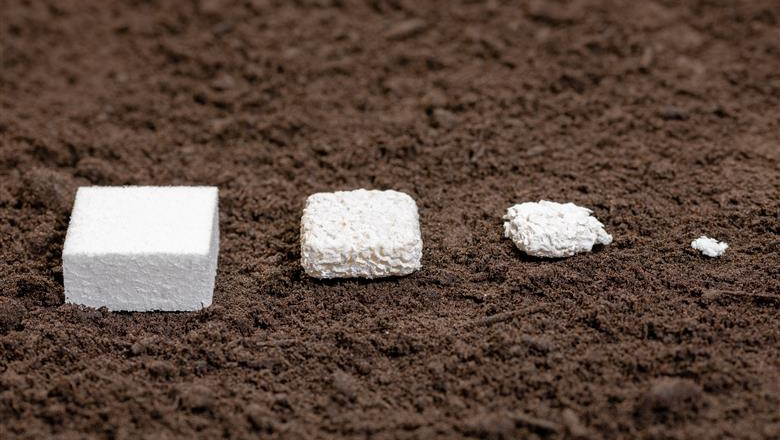 Bio-based Foam Market Growth Driven by Innovation and Increasing Demand for Eco-friendly Solutions