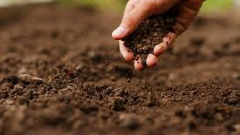 Blood Meal Fertilizers Market players innovate to meet growing environmental regulations