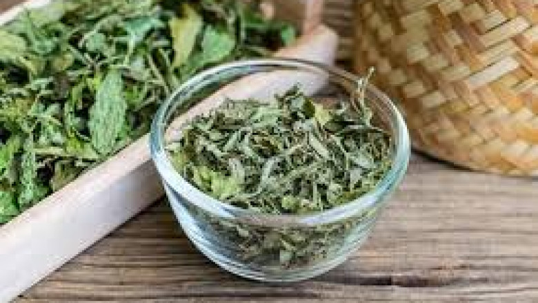 Organic Stevia Market Summary: Key Insights and Future Growth Overview