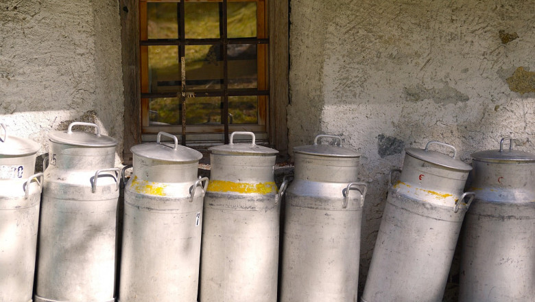 Dairy Container Market Innovations Reflect Changing Consumer Preferences and Increasing Global Dairy Consumption