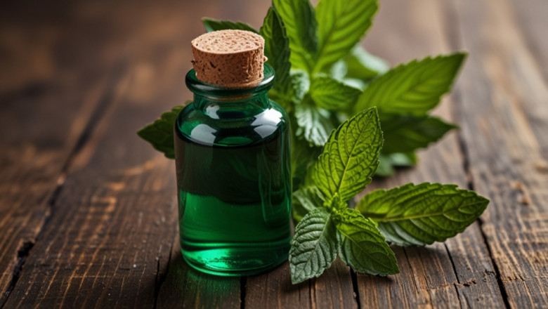 Peppermint Oil Price Trend 2025: Update Price Index and Real Time Price Analysis