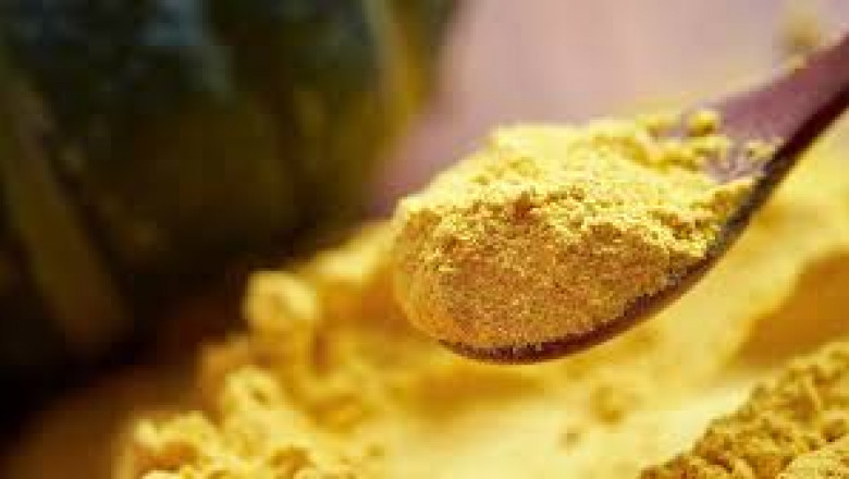 Pumpkin Seed Protein Market investment trends driving research in sustainable protein sources