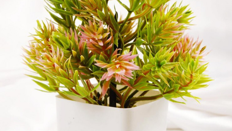Artificial Plants Market Facing Emerging Threats Amid Shifting Consumer Preferences