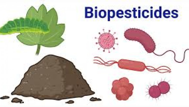 Global Biopesticides Market Growth Fueled by Green Agriculture and Regulations by 2030