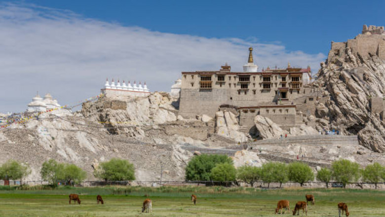 What’s Inside the Hall of Fame in Leh Ladakh? Complete Guide for 2025 Travelers
