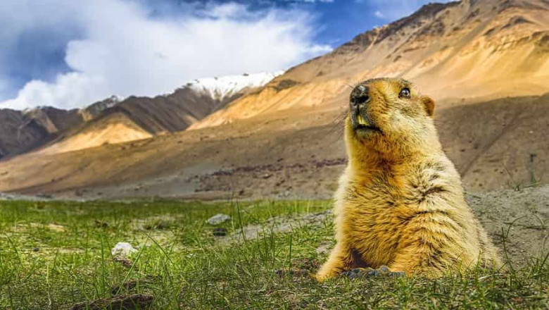 Pin Valley in Spiti