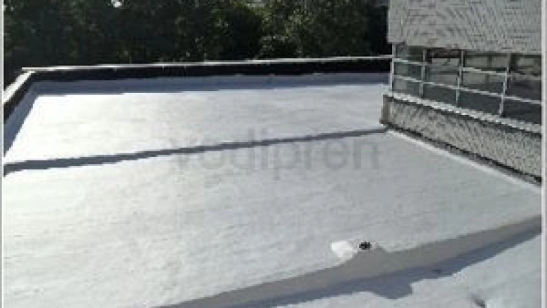 Global SBS Waterproof Membrane Market Report: Advancements, Applications & Future Projections