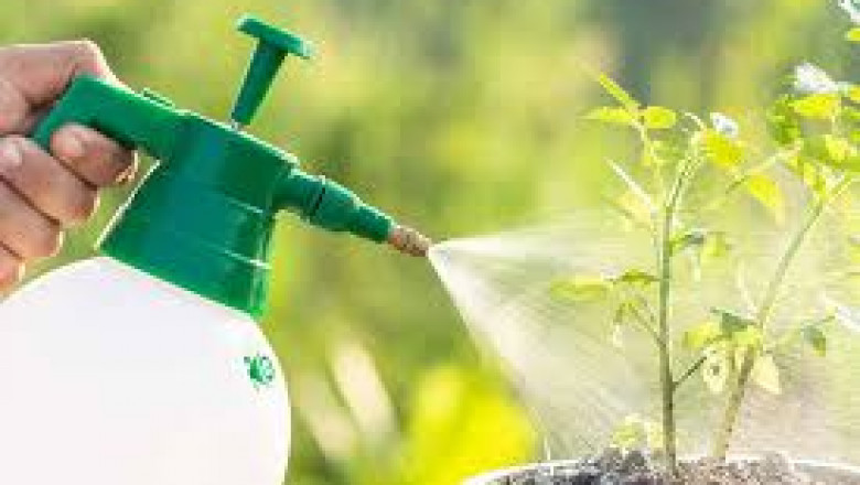 Latest Trends in the Liquid Fertilizers Market with Forecast Data and Projections 2030