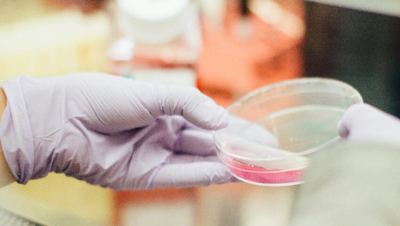 Introduction: The Transformative Value of Microneedle Technology