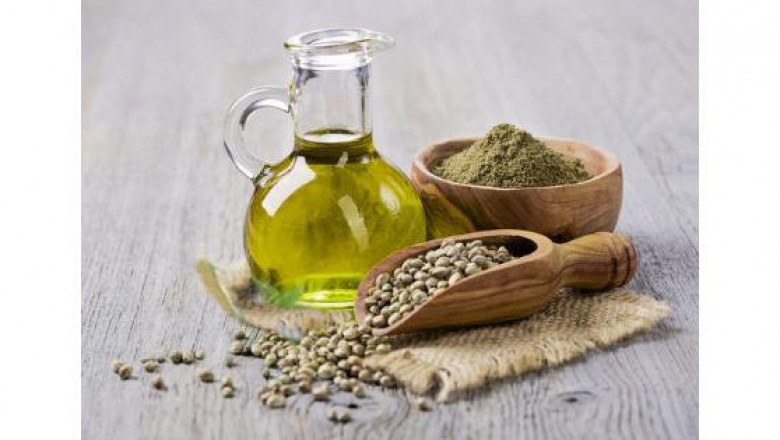 Kenaf Seed Oil Market Expansion Fueled by Global Demand for Bio-Based Products