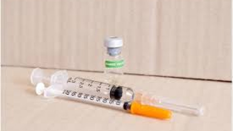 Human Rabies Vaccines Market Research Highlights Innovations, Trends, and Global Outlook