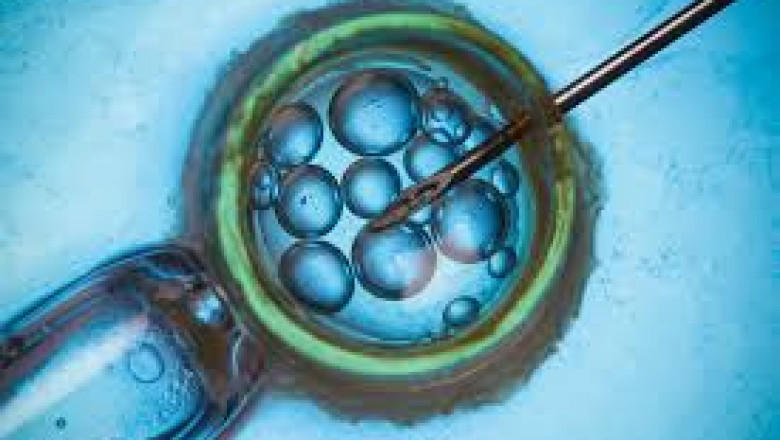 Assisted Reproductive Technology Market Trends 2021–2030: Innovations, Growth Insights & Forecast