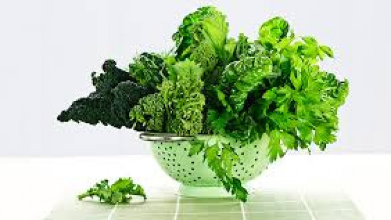 Lutein Market investment analysis revealing key funding opportunities and venture capital movements