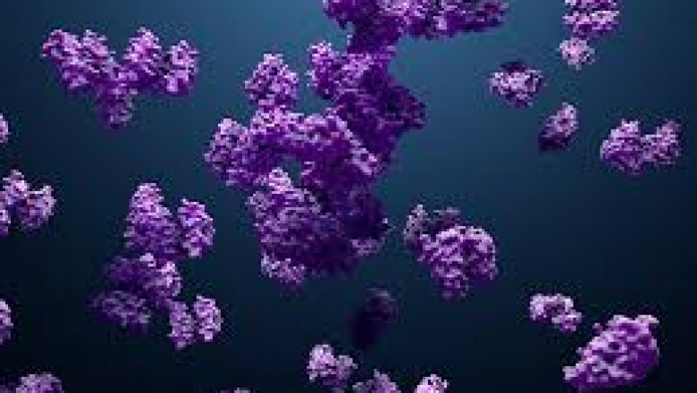 Marine Enzymes Market Threats: Key Risks Impacting Global Market Expansion
