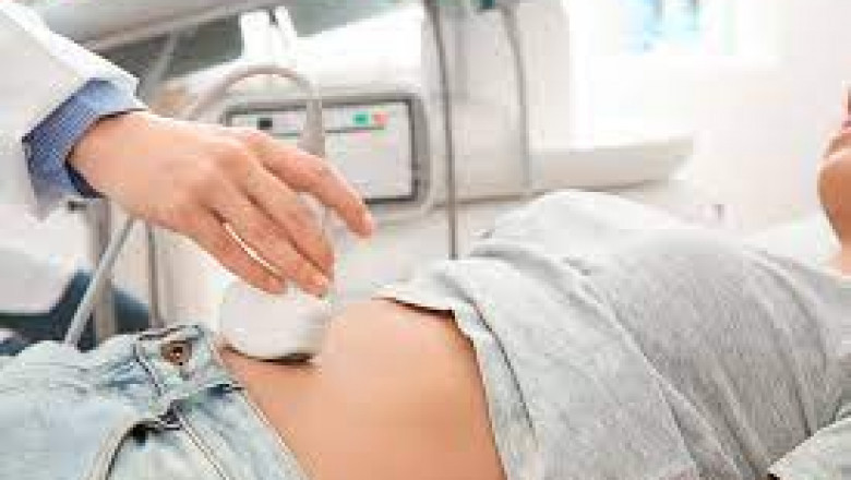 Portable Ultrasound Bladder Scanner Market Growth Opportunities Driven by Aging Population and Technology