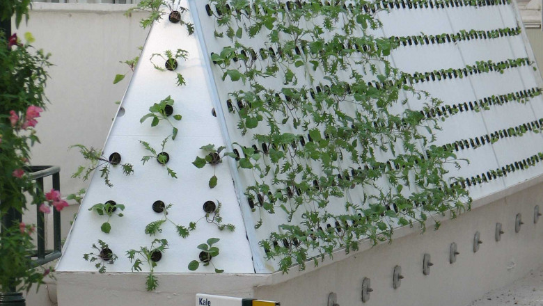 Aeroponics Market Growth Challenges Include High Costs, Technical Barriers, and Limited Crop Versatility