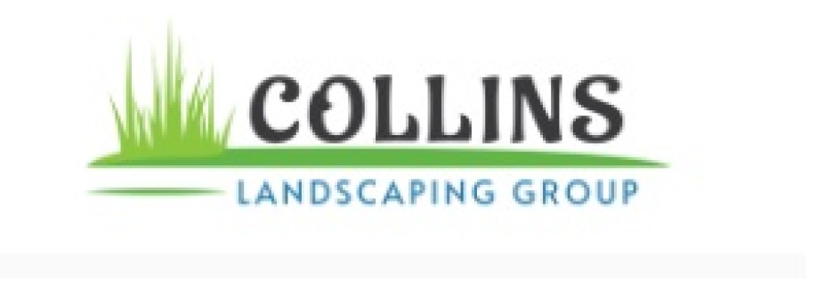 Collins Group Cover Image