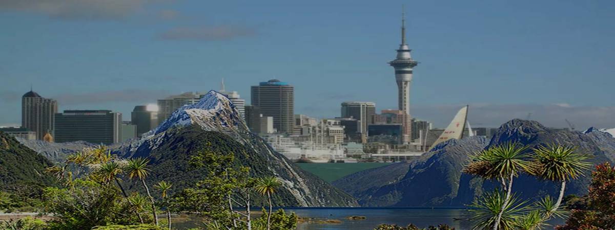 Study in New Zealand for Indian Students 2024-25: Top Universities, Courses, Costs & Admission