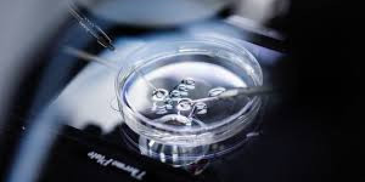 China In Vitro Fertilization Market  Size And Forecast Report 2024-2030