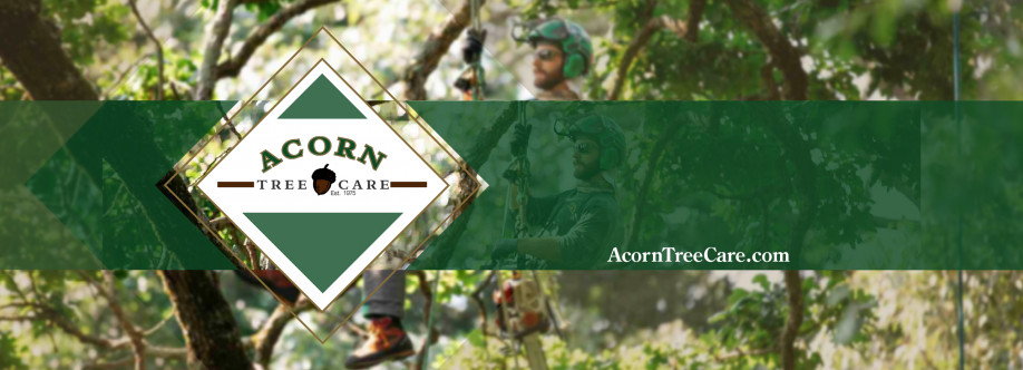 Acorn Tree Care Cover Image