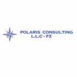 Polaris Consulting Profile Picture