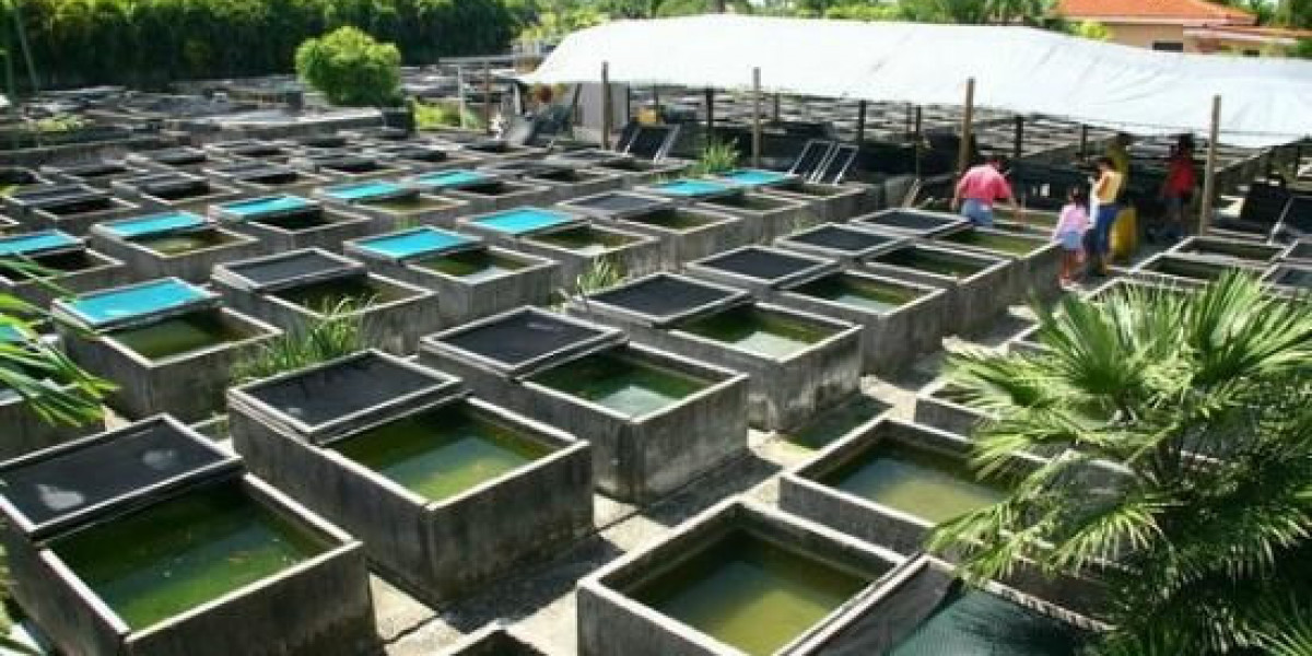 Revolutionizing Seafood Production: Aquaculture Services in the UAE