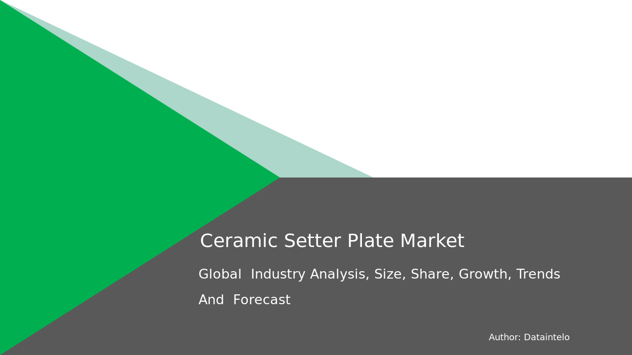 Ceramic Setter Plate Market Research Report 2032