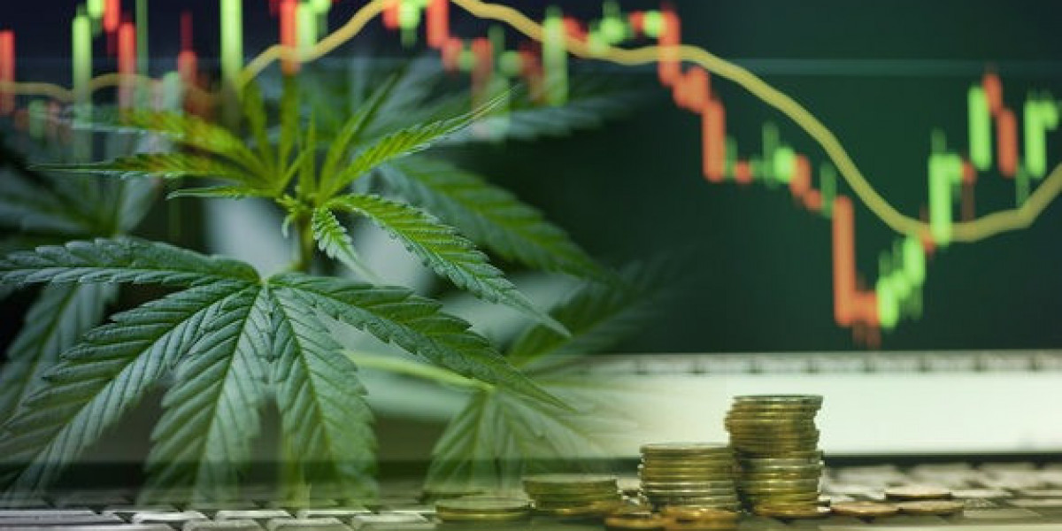 How to Invest in Cannabis: Key Insights for Strategic Investors