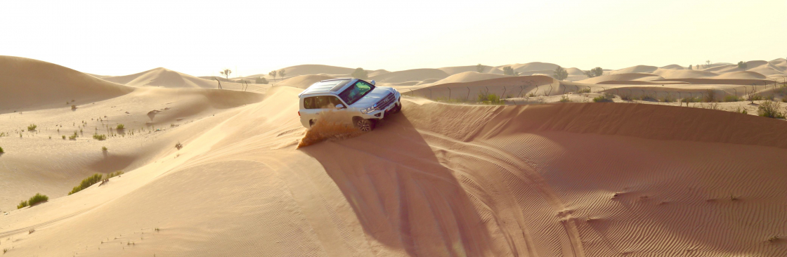 Liwa Desert Safari Cover Image