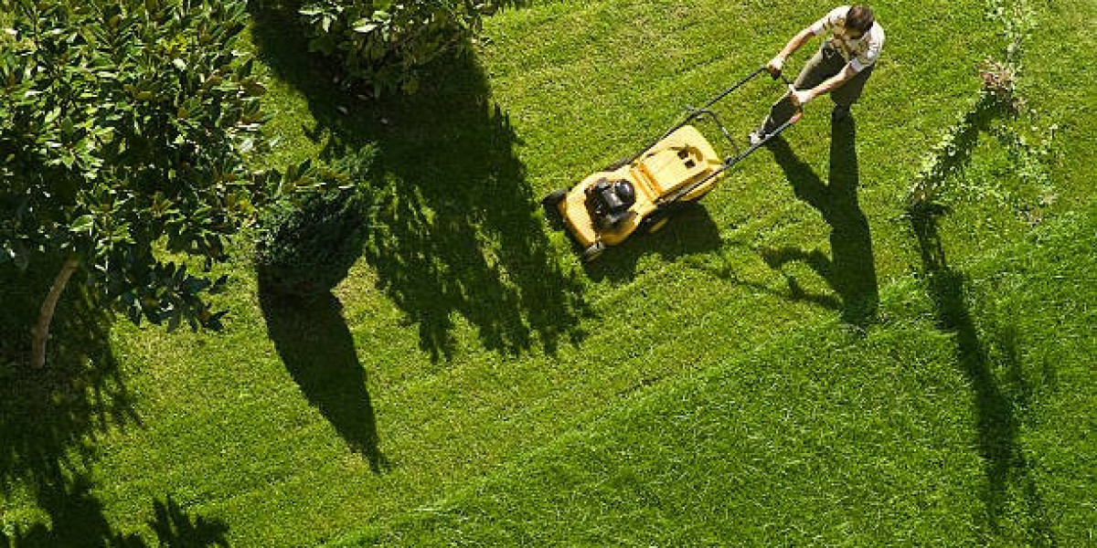 The Do’s and Don’ts You Should Follow When You Replace a Lawn Mower Blade in Ryland Heights