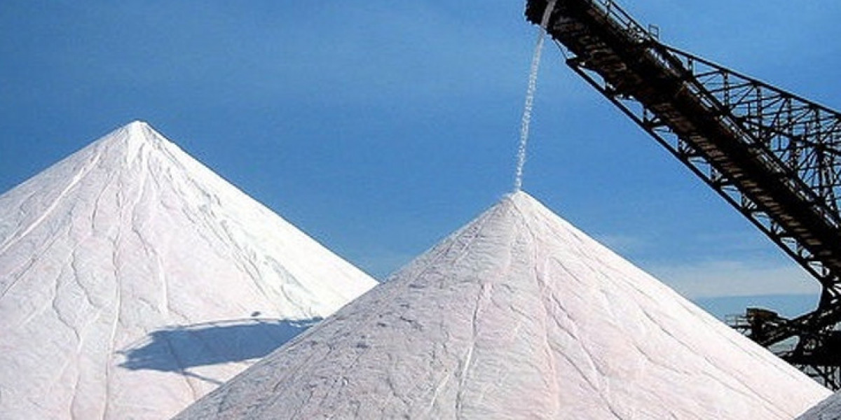 Industrial Salt Market Role of Salt in Industrial Processes