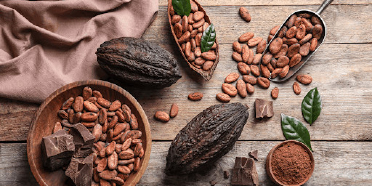 Cocoa Market Key Dynamics, Growth Drivers, and Restraints Shaping the Long-Term Market Outlook