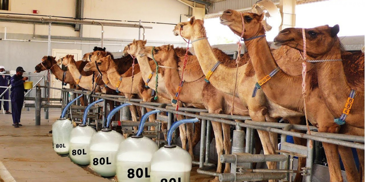 Camel Milk Market Expanding Globally with Rising Consumer Awareness and Health Benefits Across Regions.