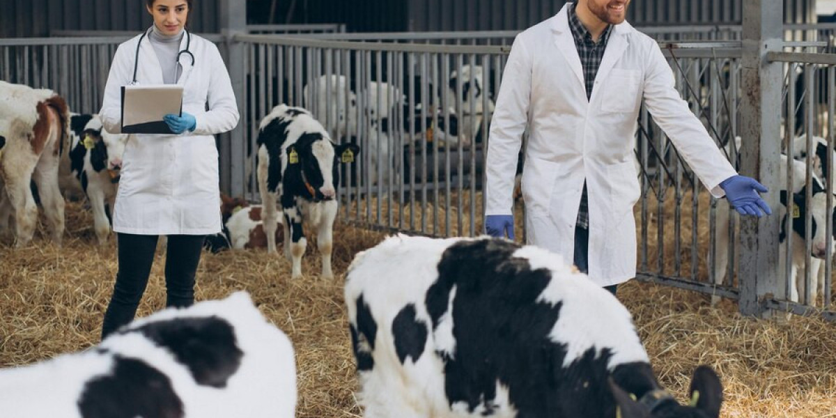 Navigating the Farm Animal Healthcare Market: Trends, Growth, and Future Outlook