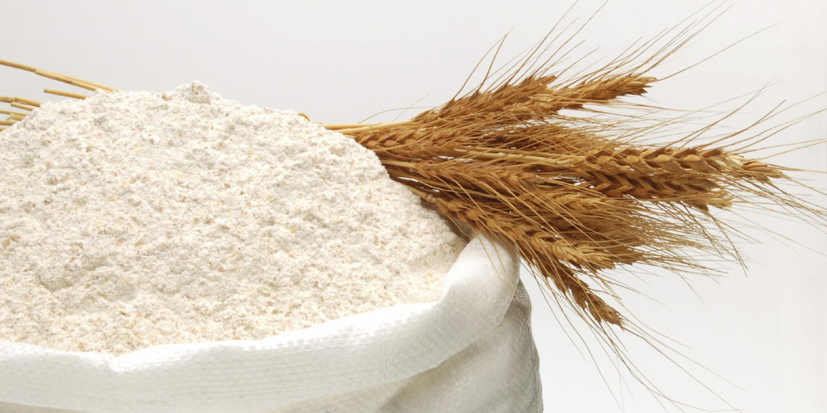 Whole-Wheat Flour Market Segment Analysis: A Breakdown of Application Trends and Key Consumer Preferences