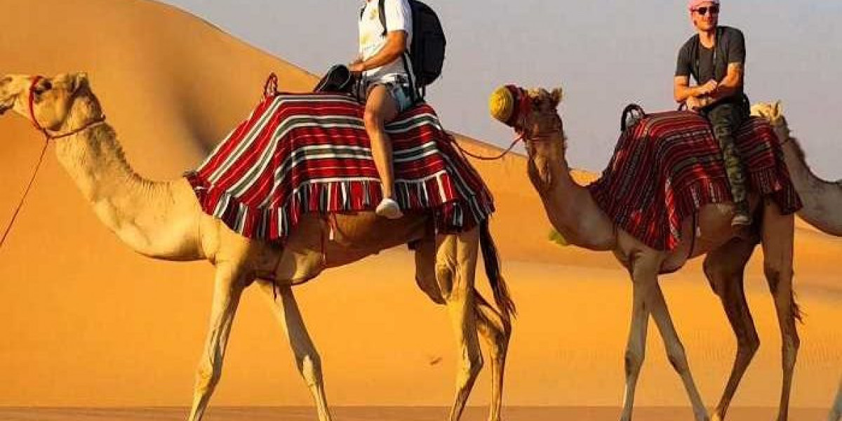 Explore the Thrills of Desert Safari Sharjah