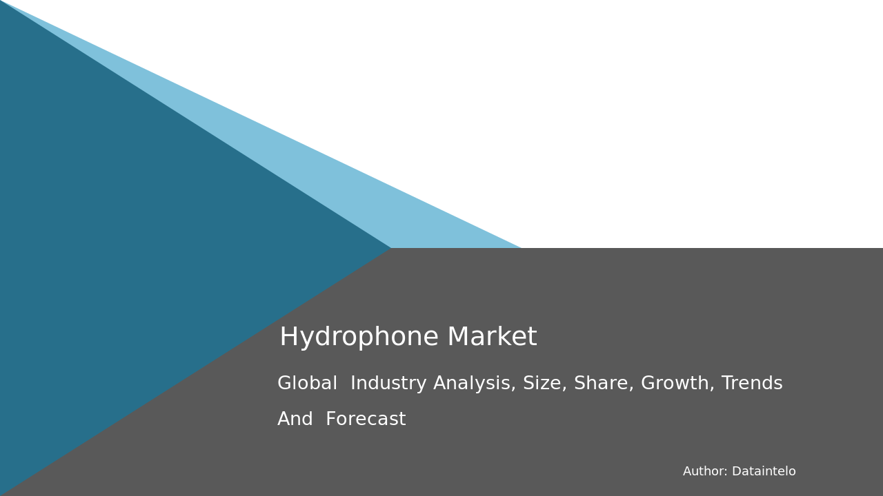 Hydrophone Market Research Report 2032