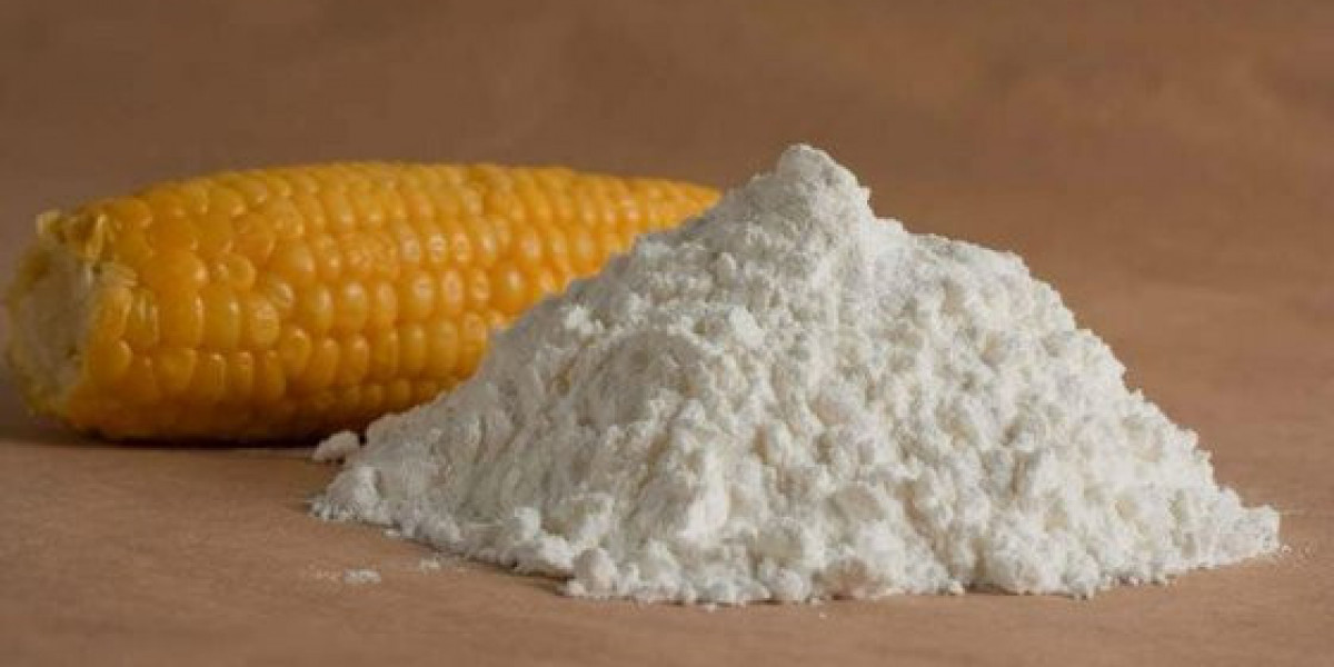 Organic Starch Market Comprehensive Overview of the Emerging Trends and Opportunities for Innovation and Expansion