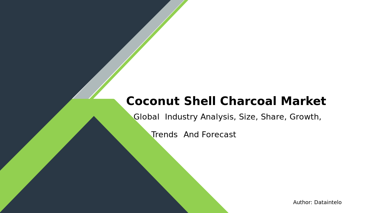 Coconut Shell Charcoal Market Report | Global Forecast From 2024 To 2032