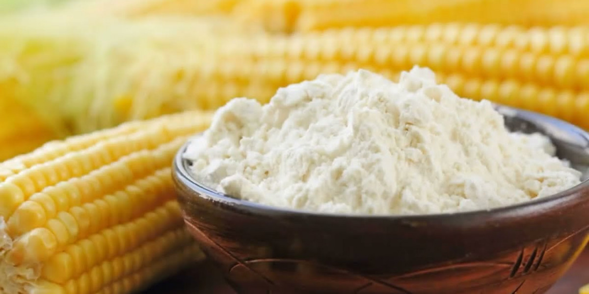 Native Starch Market Demand and Supply: Exploring the Shifting Balance of Industry Needs