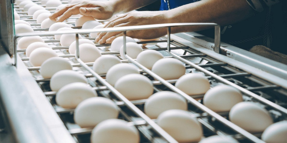 Egg Wash Alternative Market: Exploring the Barriers to Adoption and Growth