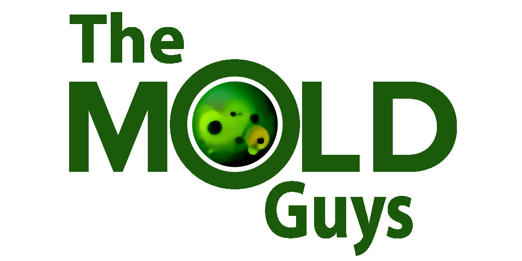 The Mold Guys Profile Picture