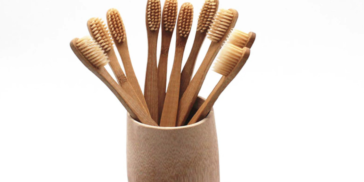 Bamboo Toothbrush Market Embraces Sustainability with Rising Consumer Demand