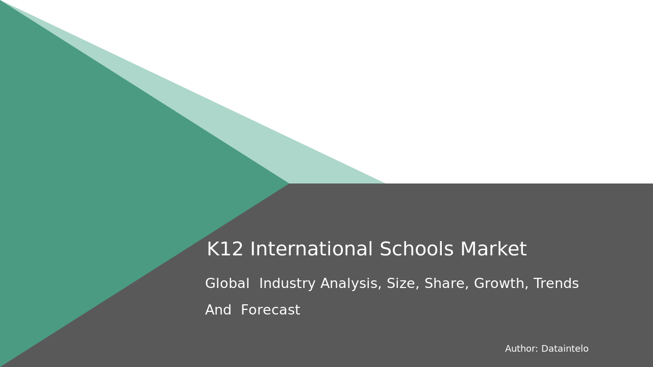 K-12 International Schools Market Research Report 2032