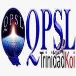 QPSL Ltd profile picture