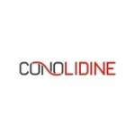 conolidine Profile Picture